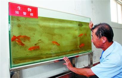 ���Ź���(MAYA)�����ϰ��ص�