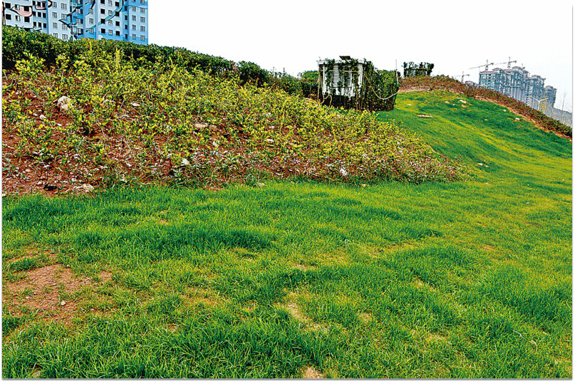 ���Ź���(MAYA)�����ϰ��ص�