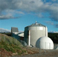 ���Ź���(MAYA)�����ϰ��ص�