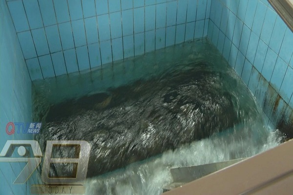 ���Ź���(MAYA)�����ϰ��ص�