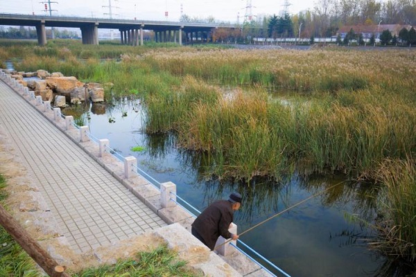 ���Ź���(MAYA)�����ϰ��ص�